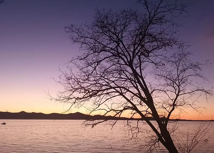 Casper * Ζαντάρ